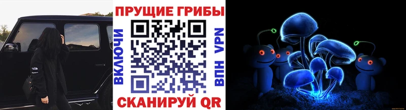 Псилоцибиновые грибы Magic Shrooms Рузаевка